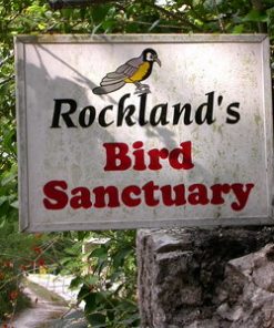Jamaica Bird Sanctuary